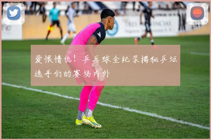 爱恨情仇！乒乓球全纪录揭秘乒坛选手们的赛场内外