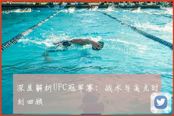 深度解析UFC冠军赛:战术与高光时刻回顾