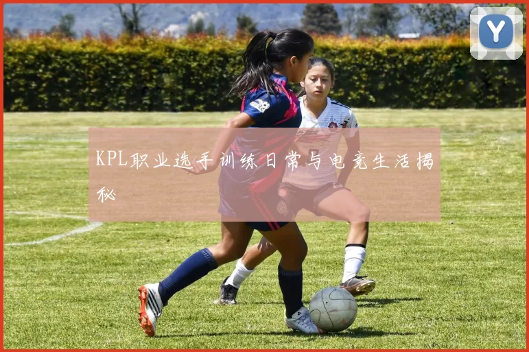 KPL职业选手训练日常与电竞生活揭秘