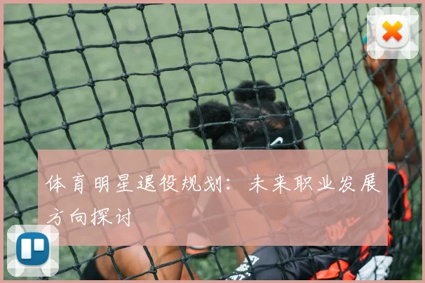 体育明星退役规划：未来职业发展方向探讨