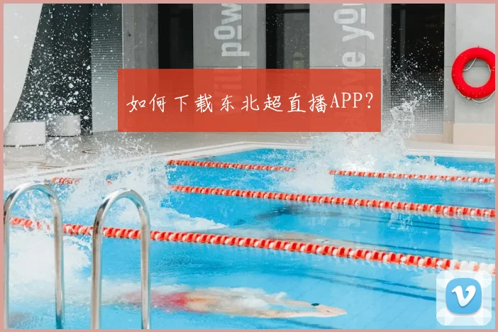 如何下载东北超直播APP？