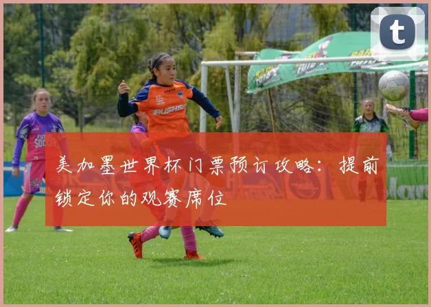 美加墨世界杯门票预订攻略：提前锁定你的观赛席位
