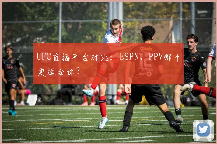 UFC直播平台对比:ESPN、PPV哪个更适合你?