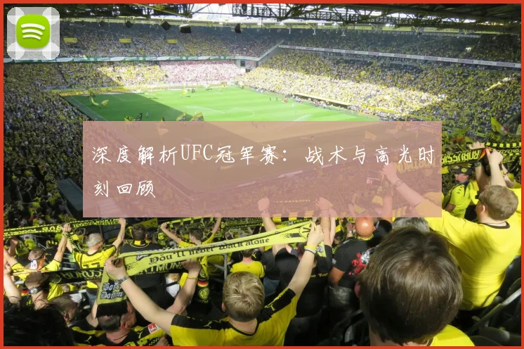 深度解析UFC冠军赛：战术与高光时刻回顾