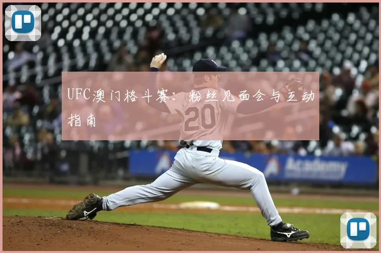 UFC澳门格斗赛：粉丝见面会与互动指南