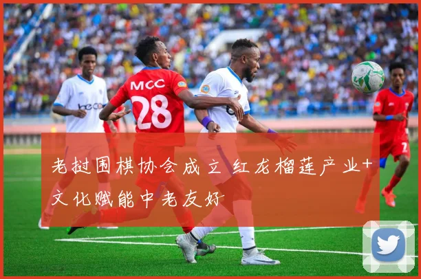 老挝围棋协会成立 红龙榴莲产业+文化赋能中老友好