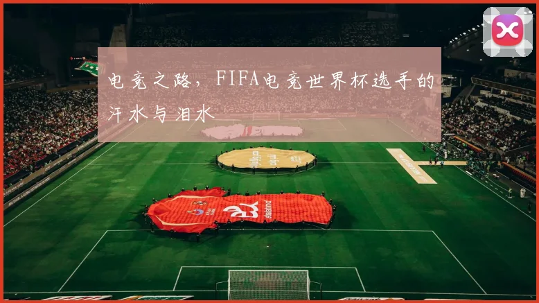 电竞之路,FIFA电竞世界杯选手的汗水与泪水