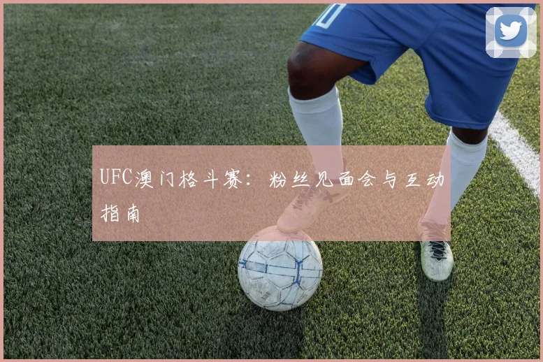 UFC澳门格斗赛：粉丝见面会与互动指南