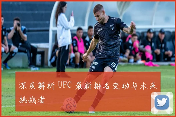 深度解析 UFC 最新排名变动与未来挑战者
