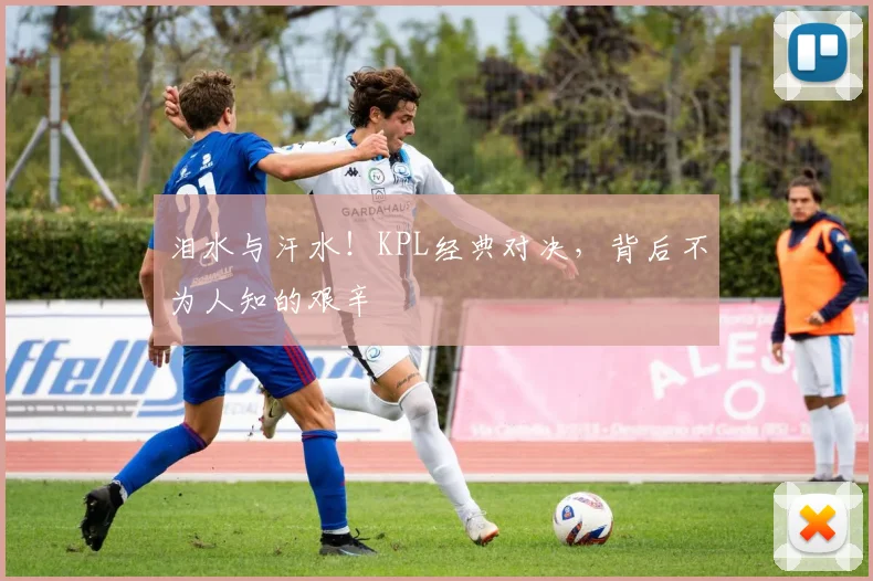 泪水与汗水！KPL经典对决，背后不为人知的艰辛