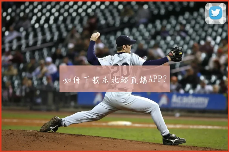 如何下载东北超直播APP？