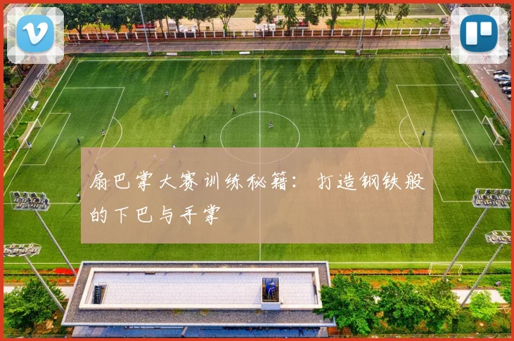 扇巴掌大赛训练秘籍：打造钢铁般的下巴与手掌