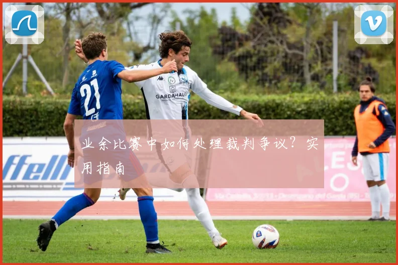 业余比赛中如何处理裁判争议?实用指南